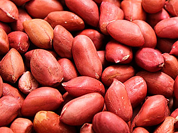 Amendoim cru com pele