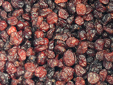 Arandos
