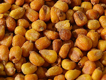 Milho Frito