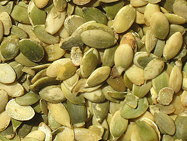 Miolo de Pevide