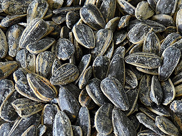 Pevide de Girassol c/sal