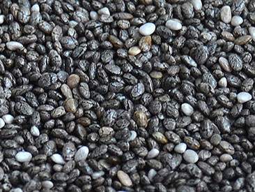 Sementes de Chia