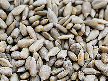 Sementes de Girassol