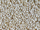 Sementes de S�samo Brancas